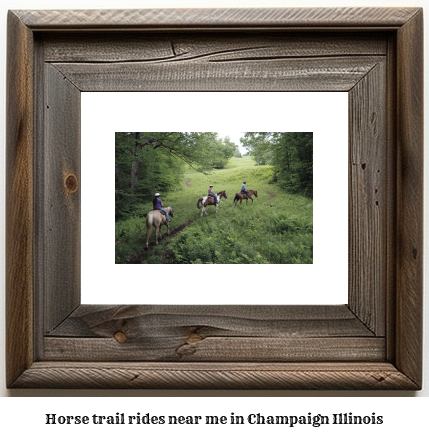 horse trail rides near me in Champaign, Illinois